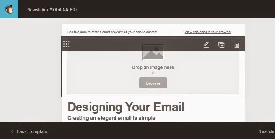 jak stworzyć newsletter, mailchimp