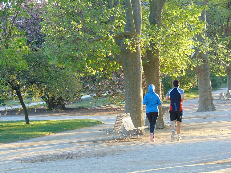 Dlaczego warto biegać? Jardin des Plantes Paryż