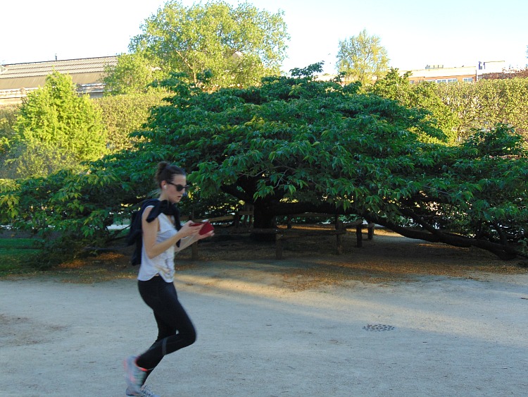 Dlaczego warto biegać? Jardin des Plantes Paryż