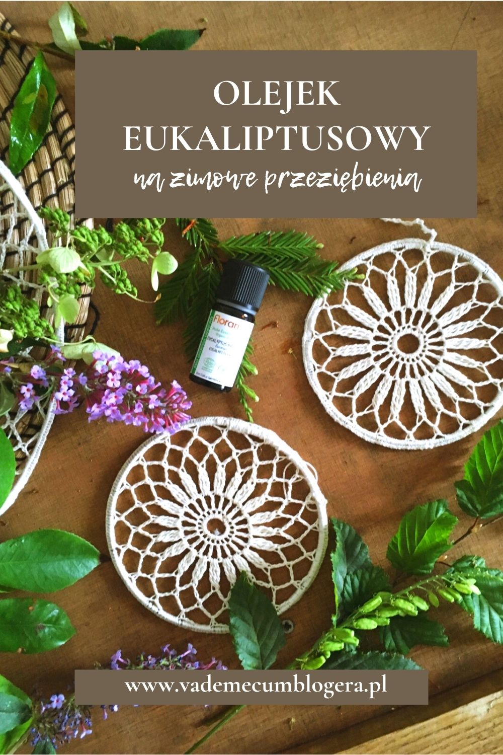 olejek eukaliptusowy działanie lecznicze i zastosowanie